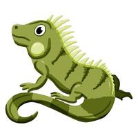 image of a cute colorful Iguana. This illustration showcases the intricate features of an iguana's anatomy. Perfect for educational materials and animal-themed projects. Isolated image. vector