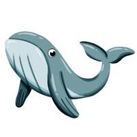Image of a cute colorful whale. This illustration showcases the intricate features of an whale's anatomy. Perfect for educational materials and animal-themed projects. Isolated image. vector