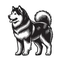 Alaskan Malamute Dog Standing - standing dog side view illustration in black and white vector