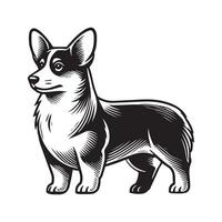 Welsh Corgi Dog Standing silhouette - standing dog side view illustration in black and white vector