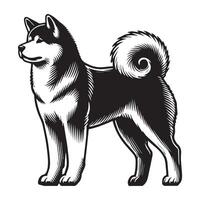 Akita Inu Dog Standing - standing dog side view illustration in black and white vector