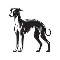 Italian Greyhound Dog Standing silhouette - standing dog side view illustration in black and white vector