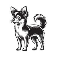 Chihuahua Dog Standing silhouette - standing dog side view illustration in black and white vector