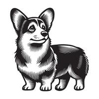 Welsh Corgi Dog Standing silhouette - standing dog side view illustration in black and white vector