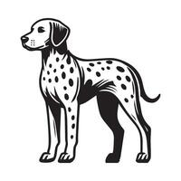 Dalmatian Dog Standing silhouette - standing dog side view illustration in black and white vector