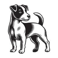 Jack Russell Terrier Dog Standing silhouette - standing dog side view illustration in black and white vector