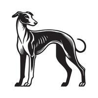 Sighthound Dog Standing silhouette - standing dog side view illustration in black and white vector