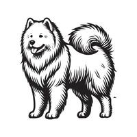Samoyed Dog Standing silhouette - standing dog side view illustration in black and white vector