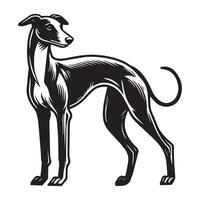 Greyhound Dog Standing silhouette - standing dog side view illustration in black and white vector