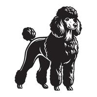 Poodle Dog Standing silhouette - standing dog side view illustration in black and white vector