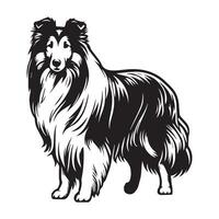 Sheltie Dog Standing silhouette - standing dog side view illustration in black and white vector