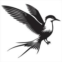 Common Tern Silhouette, Sterna hirundo Bird Clipart - Common Tern perched Illustration in black and white vector