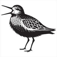 Dunlin Silhouette - Dunling Bird Clipart, Calidris alpina Design, Dunlin Calling Illustration in black and white vector