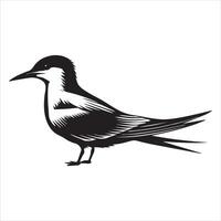 Common Tern Silhouette, Sterna hirundo Bird Clipart - Common Tern perched on a pier Illustration in black and white vector