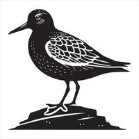 Dunlin Silhouette - Dunling Bird Clipart, Calidris alpina Design, Dunlin Perched on a Rock Illustration in black and white vector