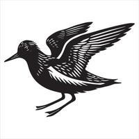 Sanderling Silhouette - Sanderling Bird Clipart, Calidris alba Design, sanderling in defensive stance Illustration in black and white vector