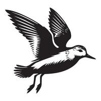 Sanderling Silhouette - Sanderling Bird Clipart, Calidris alba Design, Sanderling in mid-flight Illustration in black and white vector