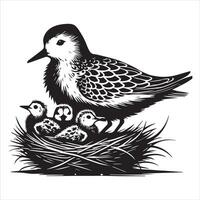 Sanderling Silhouette - Sanderling Bird Clipart, Calidris alba Design, sanderling nesting chicks underneath Illustration in black and white vector