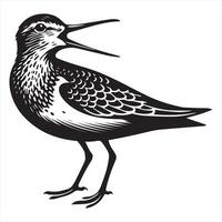 Common Sandpiper Silhouette - Sandpiper Birt Clipart, Common sandpiper calling Illustration in black and white vector