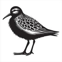 Dunlin Silhouette - Dunling Bird Clipart, Calidris alpina Design, Dunlin Alert Illustration in black and white vector