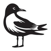 Black-headed Gull Silhouette, Chroicocephalus ridibundus Clipart, Head turned to the right Illustration in black and white vector