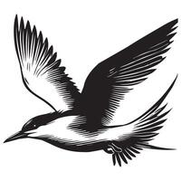 Royal Tern Silhouette, Thalasseus maximus Clipart, Royal Tern in fast flight Illustration in black and white vector
