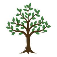 Tree With Greem Leaf isolated, Tree Clipart, Tree logo, Tree with root illustration vector