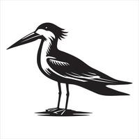 Black Skimmer Silhouette, Rynchops Niger Bird Clipart, Black Skimmer standing and facing left Illustration in black and white vector