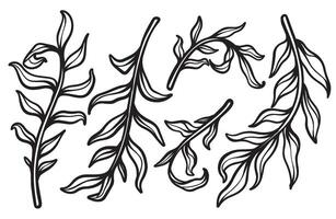 Artistic Leaf Perfect for Elegant Wedding Invitations vector