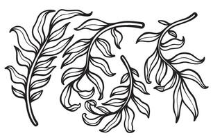 Beautiful Leaf Art for Elegant Wedding Invitations and Decorations vector