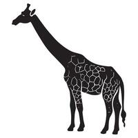 Giraffe Silhouette with Pattern Isolated on White Background vector