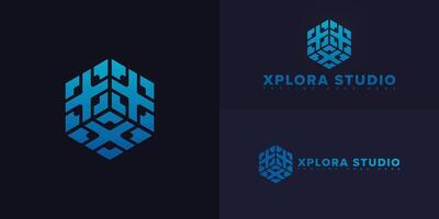 Modern hexagon initial letter XS or SX in blue color isolated on multiple background colors. The logo is suitable for venture studio logo design inspiration templates. vector