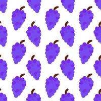 Seamless pattern with grapes. Berry food summer background. flat illustration. vector