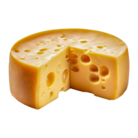 een blok van kaas met een gat in de midden. png