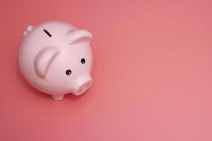Pink piggy bank on pink background. Money and business. Money saving photo