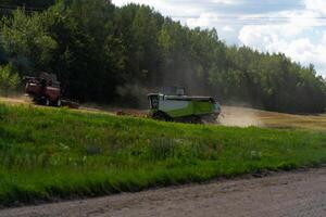 Two combines are working in the field, harvesting crops. Combines collect grain photo