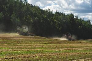 Two combines are working in the field, harvesting crops. Combines collect grain photo