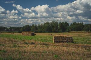 Rectangular haystacks on the field. Haystack after harvesting. Thick clouds photo