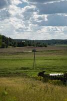 A combine harvester in the distance reaps wheat in a field photo