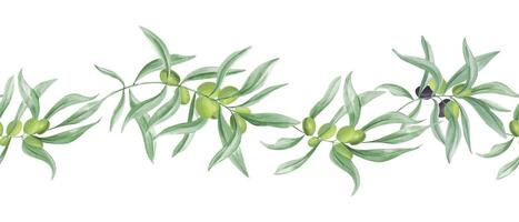 Olive twig with ripe and unripe olives watercolor realistic illustration. Curving and intertwining green branches with berries seamless horizontal banner in Mediterranean style. For kitchen decor vector