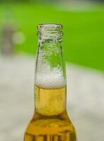 Beverage bottle opened for freshness and relaxing in the summer. High quality photo