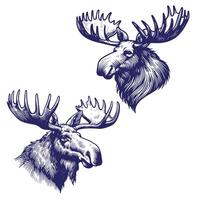 Moose Face Sketch Logo vector