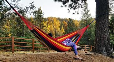 Relaxing in a Hammock in Running Springs Mountains, California photo