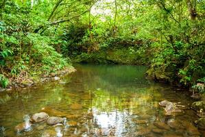 Relaxing Smooth Stream Rolling Through Rainforest on Maui, Hawaii photo