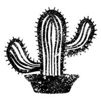 Cactus in pot with grunge texture vector