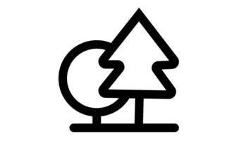 Animation of line sketch of tree icon video