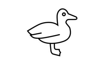 Animation of line sketch of duck icon video