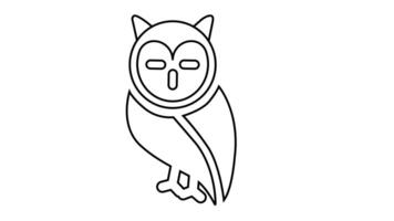 Animation of line sketch of owl icon video
