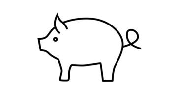 animated line sketch of a pig icon video