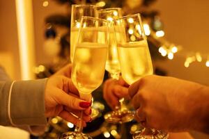 Female and male hands holding glasses with champagne and clicking them. People make festive toast with sparkling wine against background of tense Christmas tree. photo